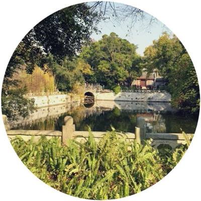 极速赛车信誉老平台